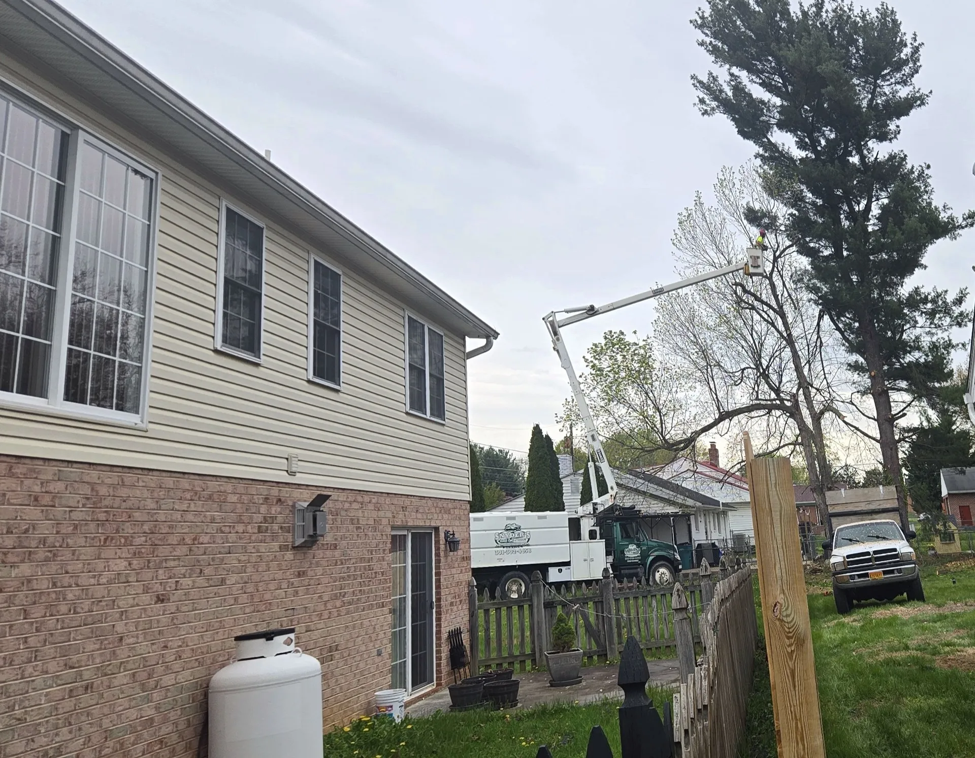 Snyder's Outdoor Solutions bucket truck removing a tall evergreen next to a home.