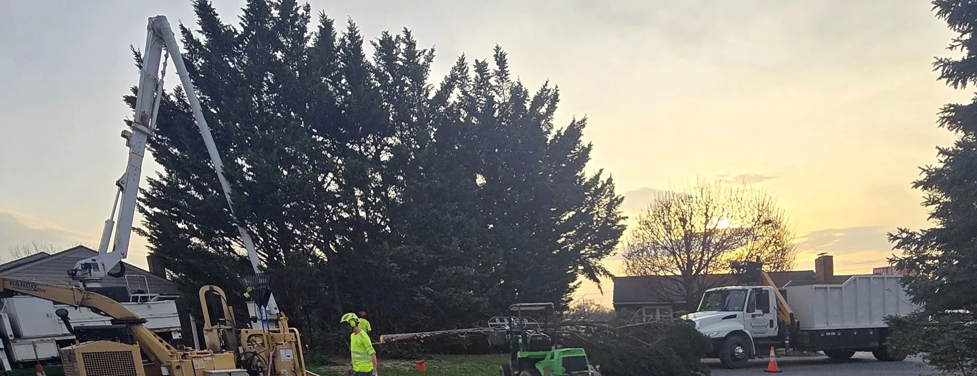 Snyder's Outdoor Solutions crew removing a large evergreen at sunset near Hagerstown.